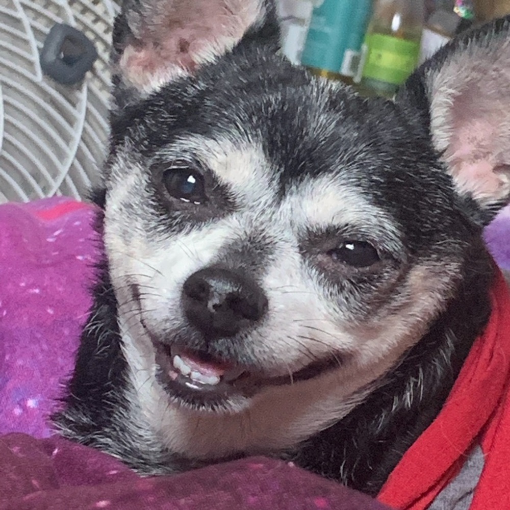 Meet your Posher, Mia